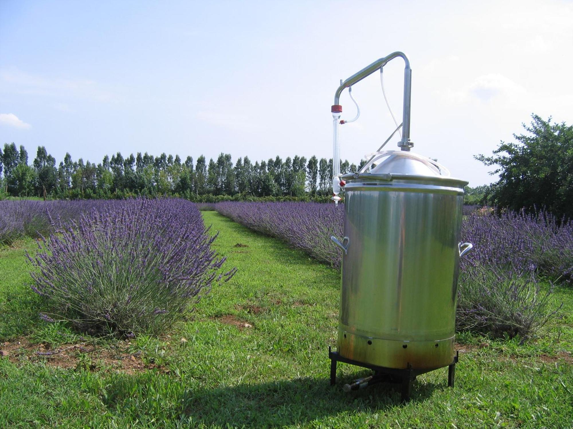 Agriturismo Domus Magna Povoletto Екстер'єр фото