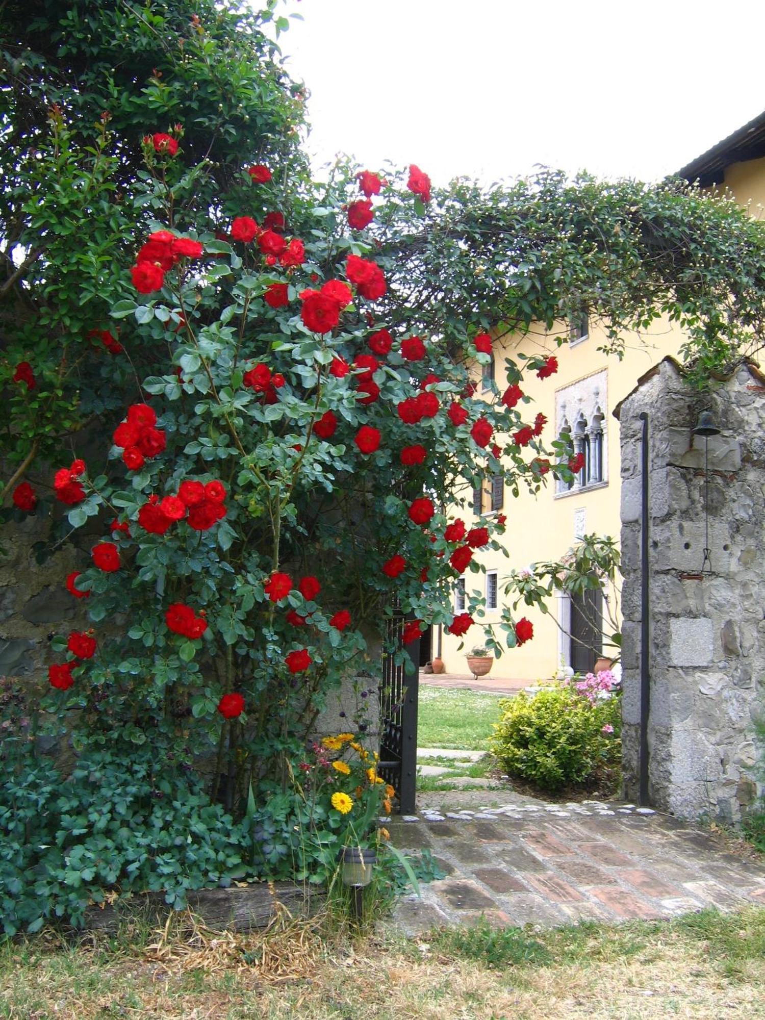 Agriturismo Domus Magna Povoletto Екстер'єр фото